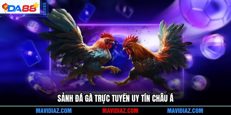 Sảnh đá gà trực tuyến uy tín châu Á